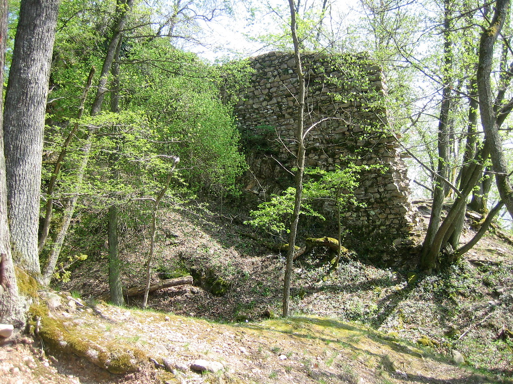 Südwand der Burgruine Wildenstein von Westen (2009)