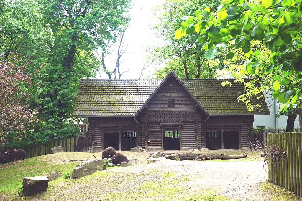 Zoologischer Garten Köln. Das mittlere der drei Rinderhäuser im Blockhaus-Stil von 1884 (2018)