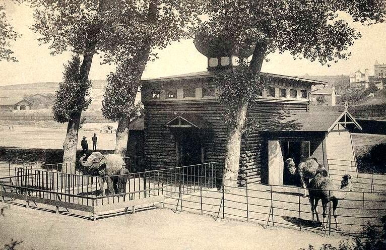 Elefanten- und Dromedargehege im "Lochnergarten" in Aachen (vor 1907). Der spätere Westpark Aachen diente zeitweise als Zoologischer Garten.