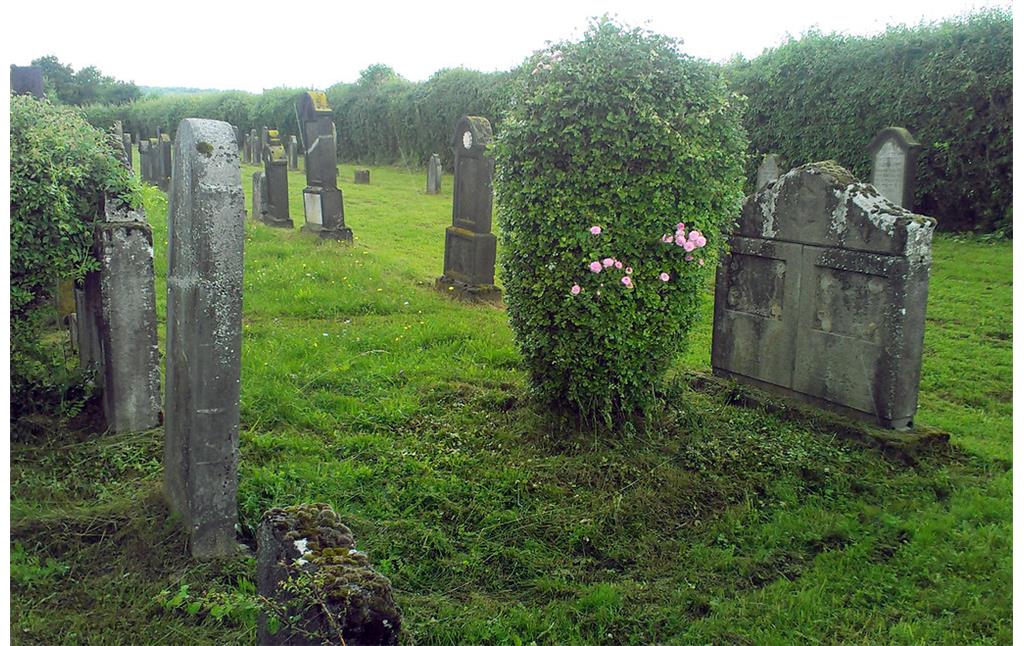 Grabsteine auf dem jüdischen Friedhof in Binningen (2013)