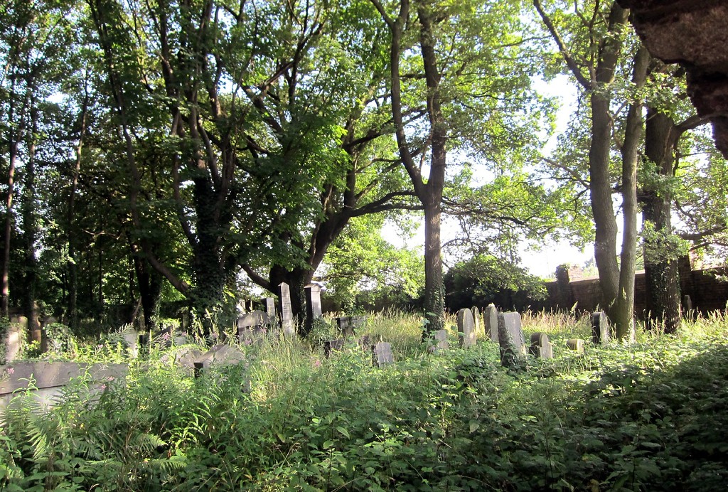 Grabsteine auf dem jüdischen Friedhof am Springborn in Köln-Mülheim (2013)