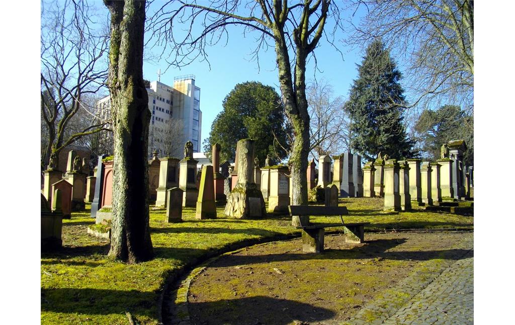 Gräberfeld auf dem jüdischen Friedhof Untere Zahlbacher Straße in Mainz (2015).