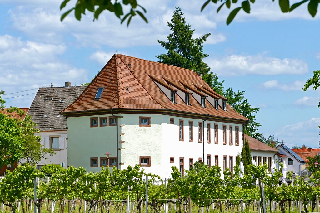 Der Edelhof in Kirrweiler, Ansicht aus ehemaligem Schlossbereich des Wasserschlosses Marienburg (2021)
