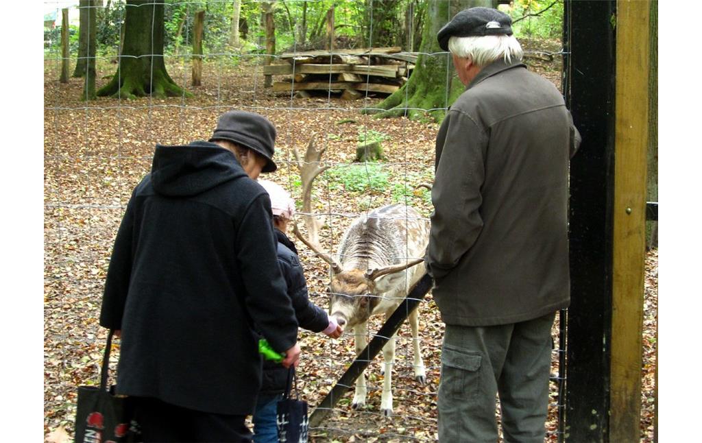 Wildgehege am Forsthaus im Forstwald (2011)