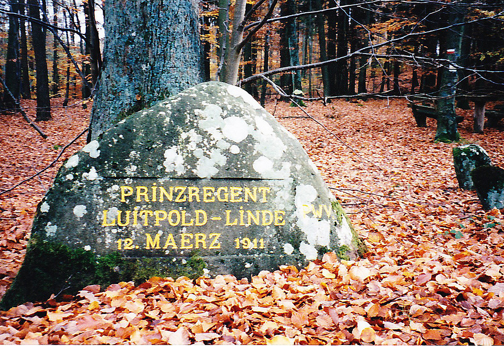 Ritterstein Nr. 136 "Prinzregent Luitpold-Linde 12. Maerz 1911" nordwestlich von Esthal (1993)