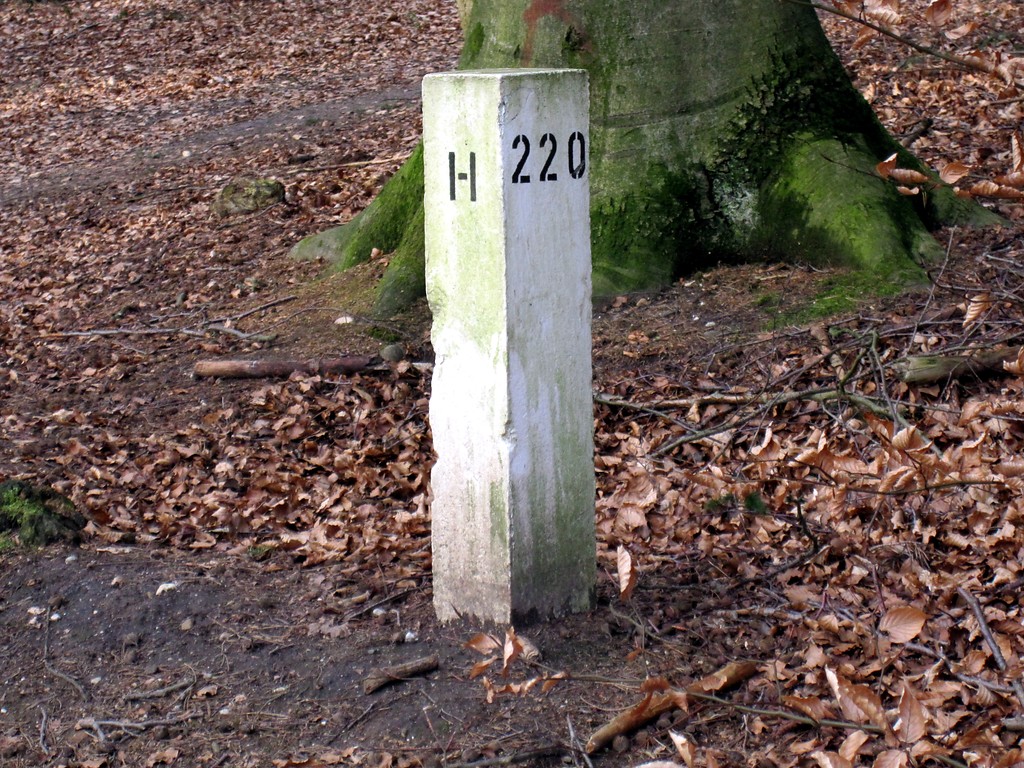 Grenzstein der einzelnen Abteilungen (Gestelle oder Jagen) im Reichswald bei Kleve (2012)