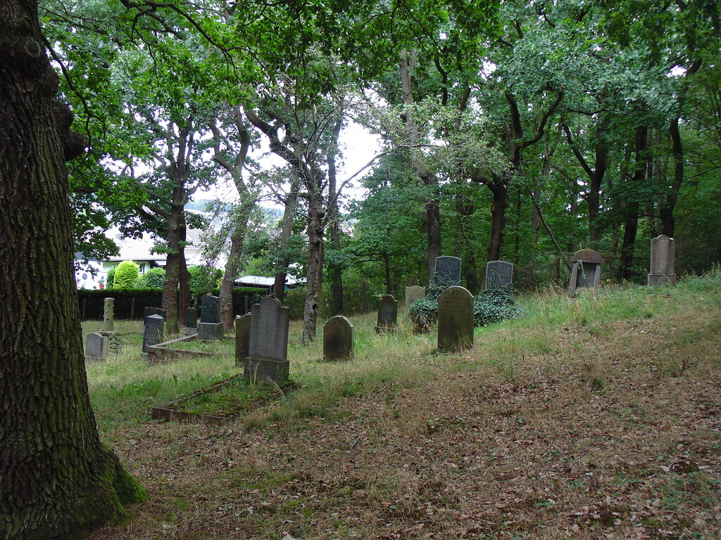 Jüdischer Friedhof Mechernich, Blick über das Gräberfeld (2020)