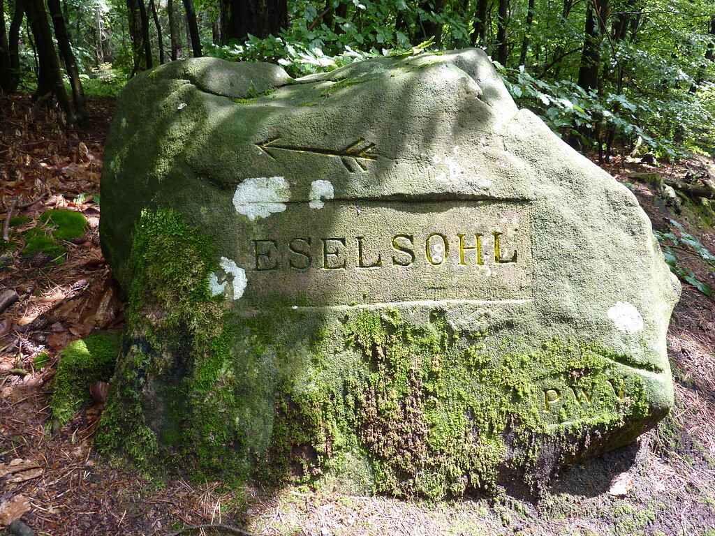 Ritterstein Nr. 143 Eselsohl bei Weidenthal (2014)