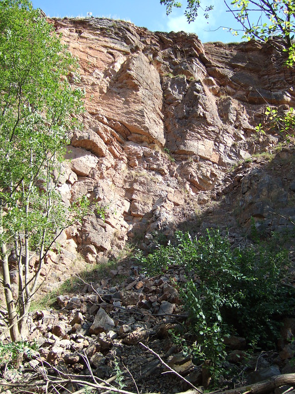 Aufschluss des Kalksteinbruches in Dahlem-Baasem (2013)