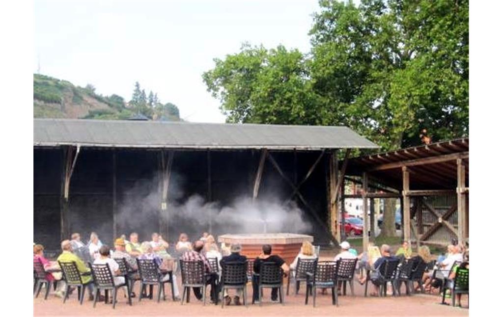 Solezerstäuber im Kurpark hinter dem Kurhaus in Bad Kreuznach (2014)