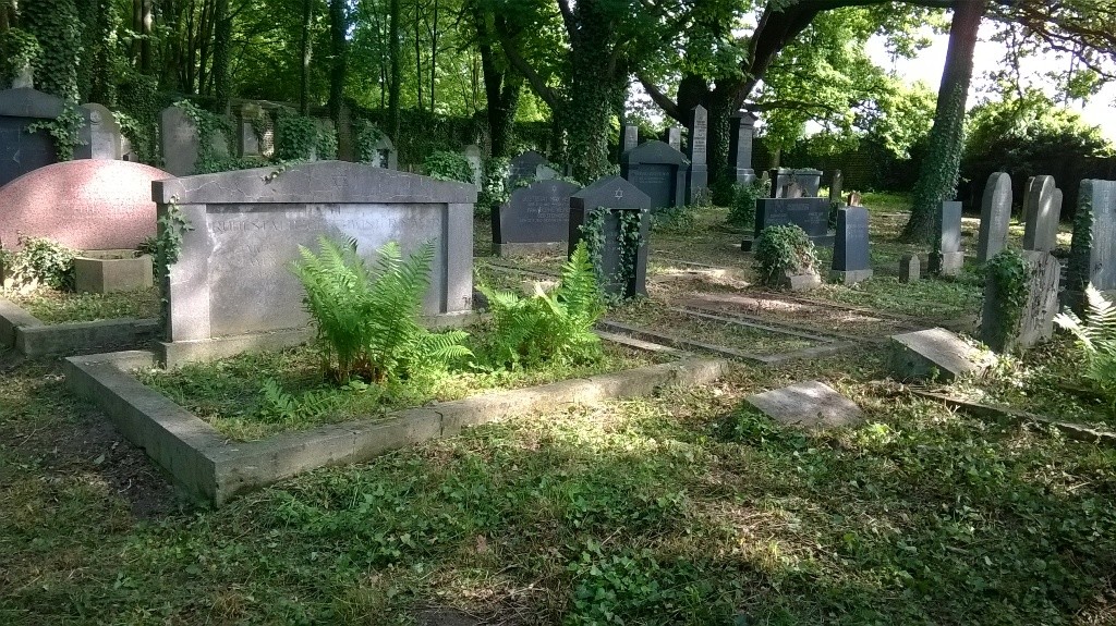 Blick auf das Gräberfeld auf dem jüdischen Friedhof in Köln-Mülheim (2014)