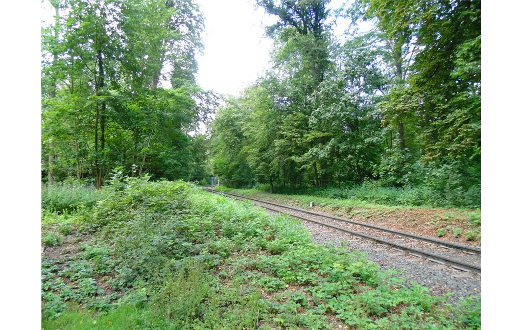 Durch den Köln-Lindenthaler Stadtwald führende Gleise, die in Richtung des Güterbahnhofs Braunsfeld führen (2020).