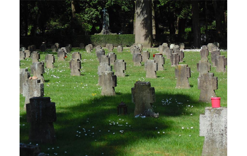 Sicht auf das Kriegsgräberfeld Nr. 90 auf dem Kölner Friedhof Melaten (2020). Einzelne Gräber werden immer noch von Privatpersonen besucht, wie der Grabschmuck verrät.