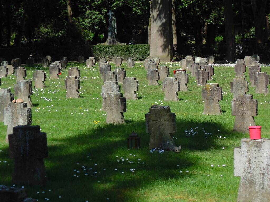 Sicht auf das Kriegsgräberfeld Nr. 90 auf dem Kölner Friedhof Melaten (2020). Einzelne Gräber werden immer noch von Privatpersonen besucht, wie der Grabschmuck verrät.