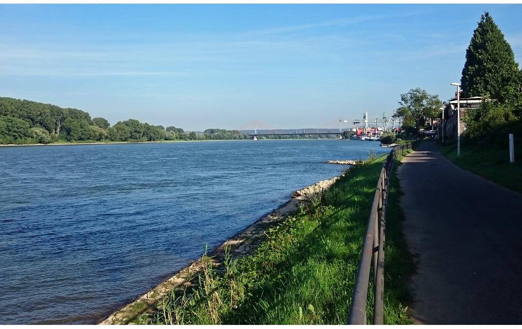 Blick auf den Rhein vom Graurheindorfer Ufer aus Richtung Süden (2016). Im Hintergrund sind der Bonner Hafen und die Friedrich-Ebert-Brücke zu sehen.
