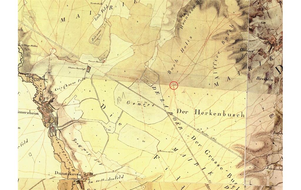 Der Kamelleboom in der Ville bei Bornheim auf der sogenannten Tranchot-Karte von 1801 - 1828