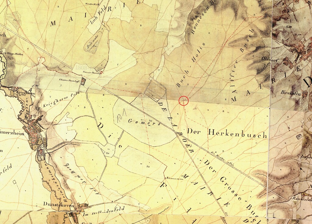 Der Kamelleboom in der Ville bei Bornheim auf der sogenannten Tranchot-Karte von 1801 - 1828