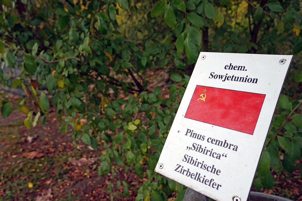 Schild von einem Gewächs aus dem Gebiet der ehemaligen Sowjetunion im Friedenswald in Köln-Rodenkirchen (2021). Die Schilder im Friedenswald werden bewusst auf dem Stand der diplomatischen Beziehungen der Bundesrepublik Deutschland im Jahr 1980 gehalten.