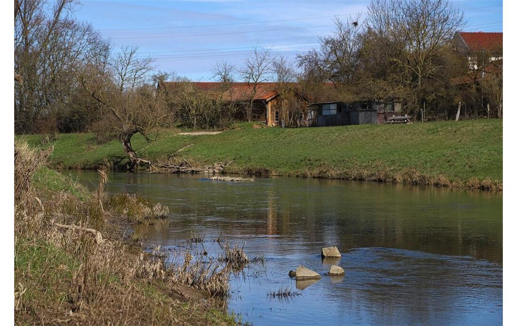 Uferbereich der Nidda in Bad Vilbel (2021)