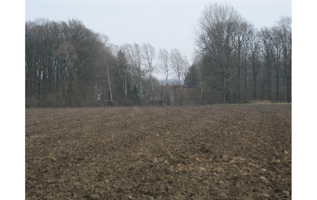 Ackerfläche in Uedem-Uedemerbruch (2011). Im Hintergrund erkennt man ein Gehöft hinter einer Baumreihe sowie flankierende Waldflächen.