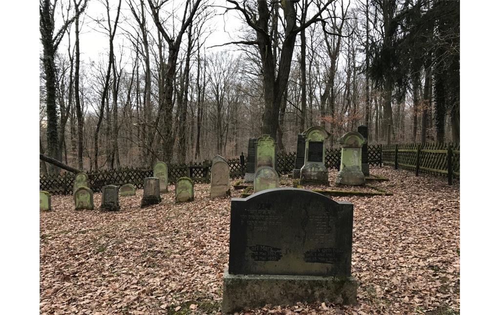 Jüdischer Friedhof bei Waldlaubersheim (2017)