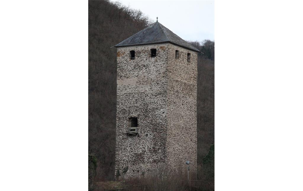 Nordwestansicht des Bergfrieds von Burg Treis (2022)