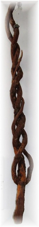 Das Bild zeigt einen Wiedezopf, ein aus dünnen Ästen gedrehtes Seil (2008)