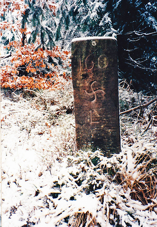 Das Foto zeigt einen der drei Grenzsteine auf die Ritterstein Nr. 85 "An Den Drei Steinen" hinweist. In diesen sind die Nummerierung 160, ein Hakenkreuz (dem Zeichen der Oberhaingeraide) sowie einem L für Landauer Stadtwald eingemeißelt (1997).
