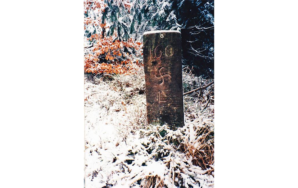 Das Foto zeigt einen der drei Grenzsteine auf die Ritterstein Nr. 85 "An Den Drei Steinen" hinweist. In diesen sind die Nummerierung 160, ein Hakenkreuz (dem Zeichen der Oberhaingeraide) sowie einem L für Landauer Stadtwald eingemeißelt (1997).