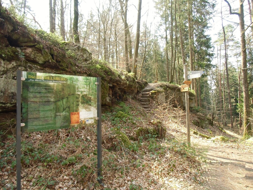 Burgruine Heidelsburg bei Waldfischbach-Burgalben (2020)