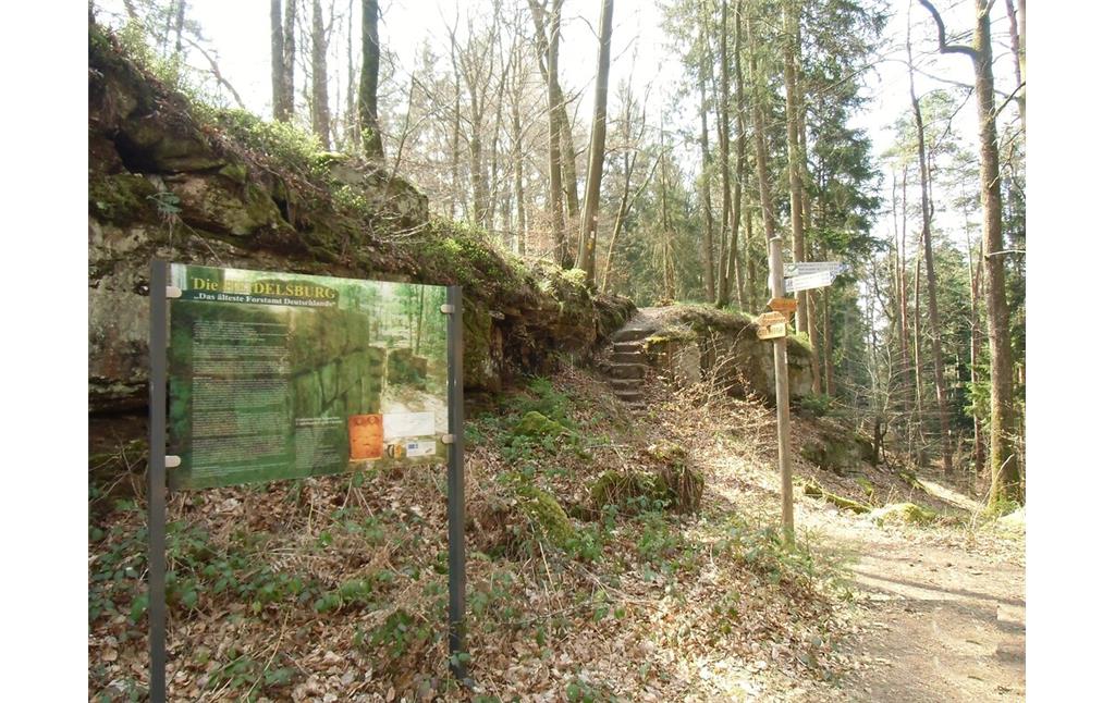 Burgruine Heidelsburg bei Waldfischbach-Burgalben (2020)