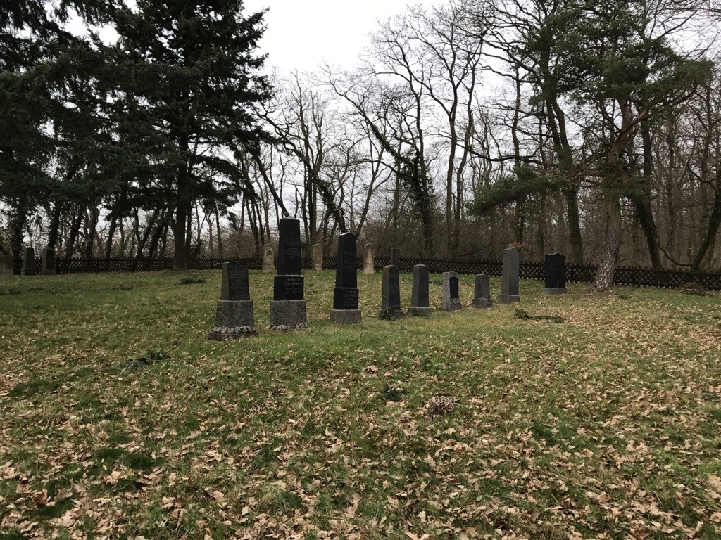 Jüdischer Friedhof Windesheim (2017)