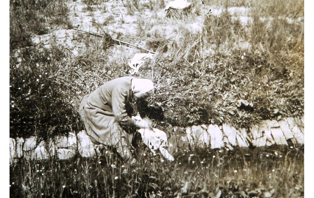 Gertrud Feiler, genannt Traud, beim Auslegen gewaschener Wäsche auf einer Wiese zum Bleichen (1940er Jahre)