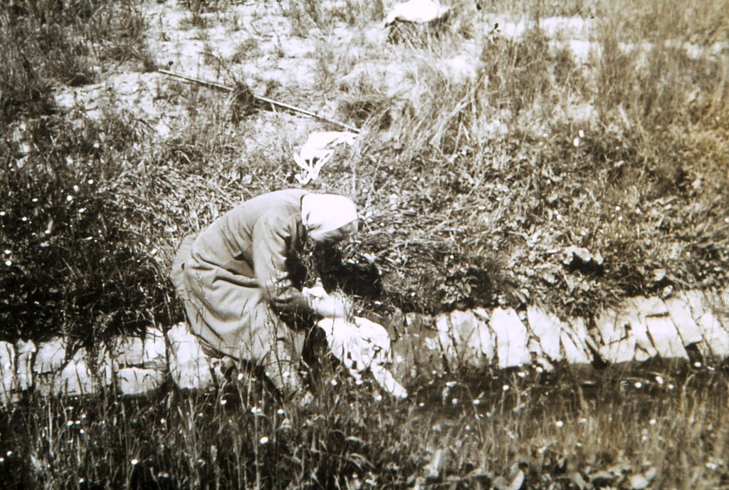 Gertrud Feiler, genannt Traud, beim Auslegen gewaschener Wäsche auf einer Wiese zum Bleichen (1940er Jahre)