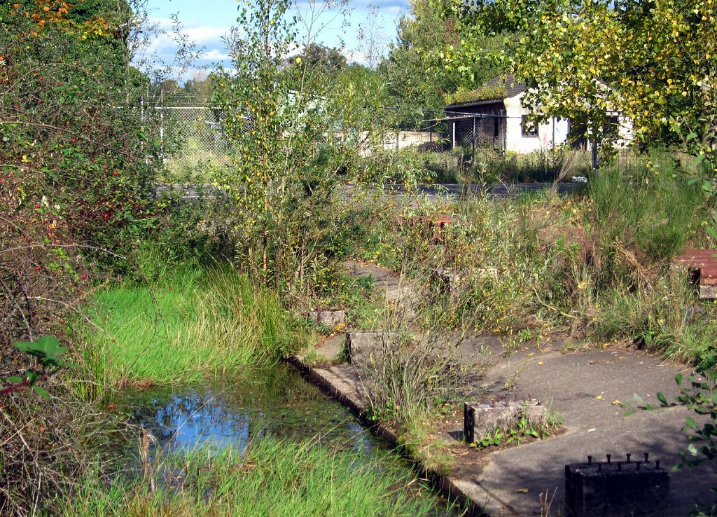 Die Panzerwaschanlage am früheren "Camp Major Legrand" bei Troisdorf-Altenrath und das nebenan liegende Becken (2011).