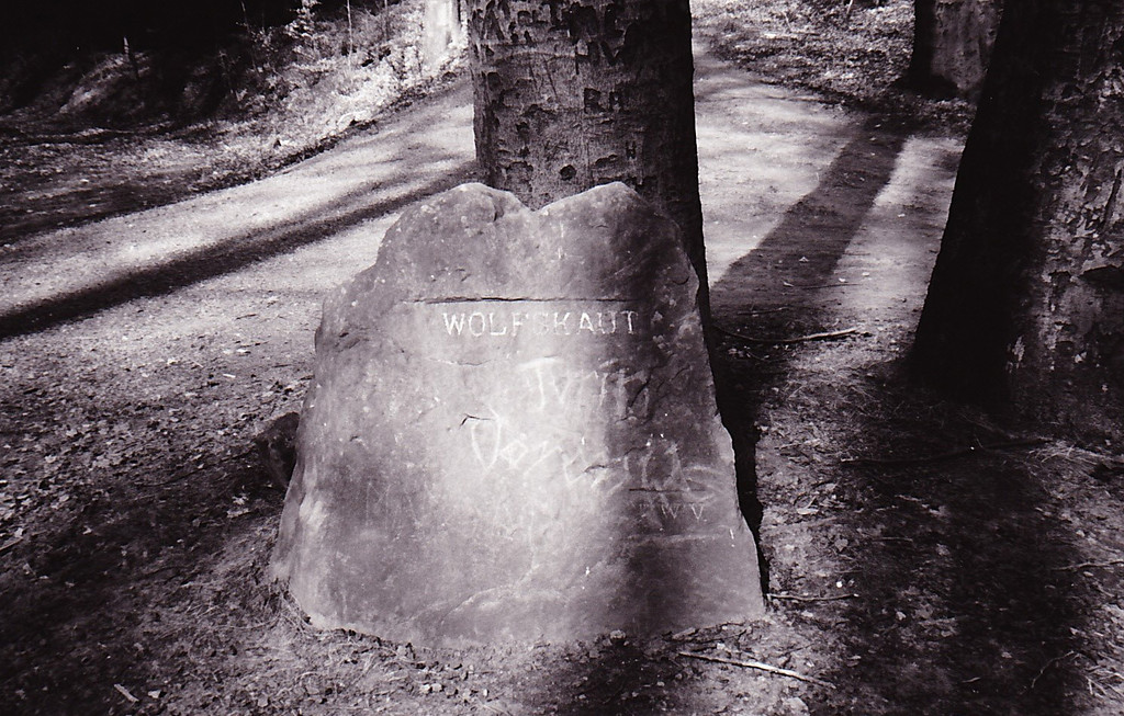 Ritterstein Nr. 147 "Wolfskaut" bei Kaiserslautern (1993)