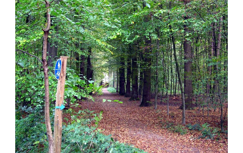 Allee mit Wanderweg im Krefelder Forstwald (2011).
