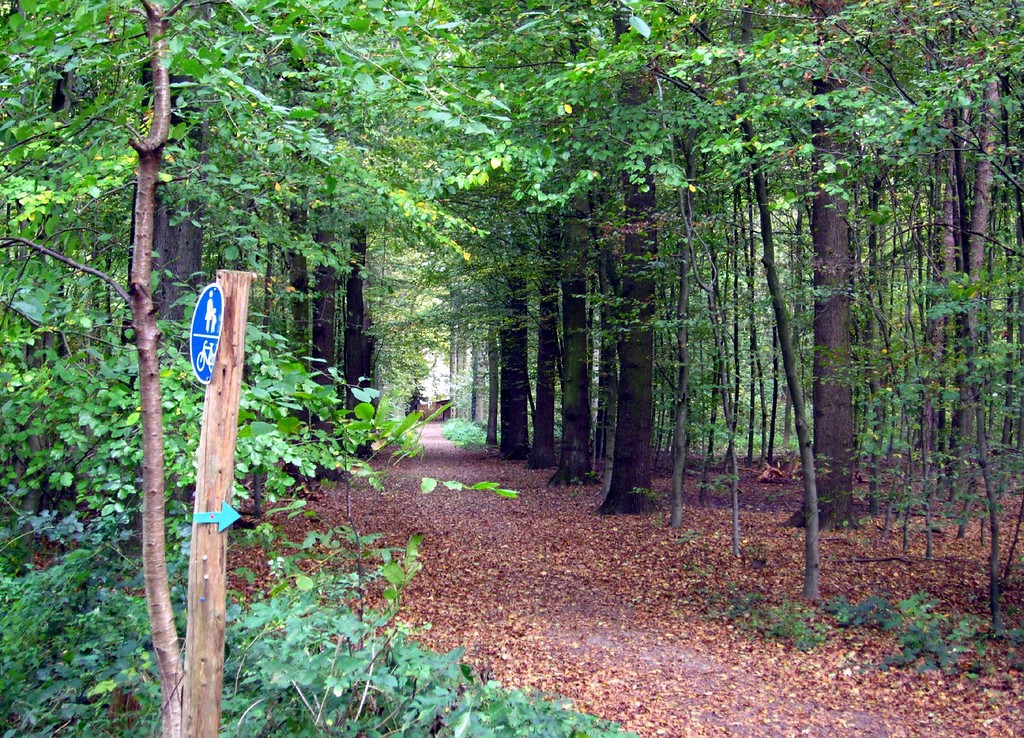 Allee mit Wanderweg im Krefelder Forstwald (2011).