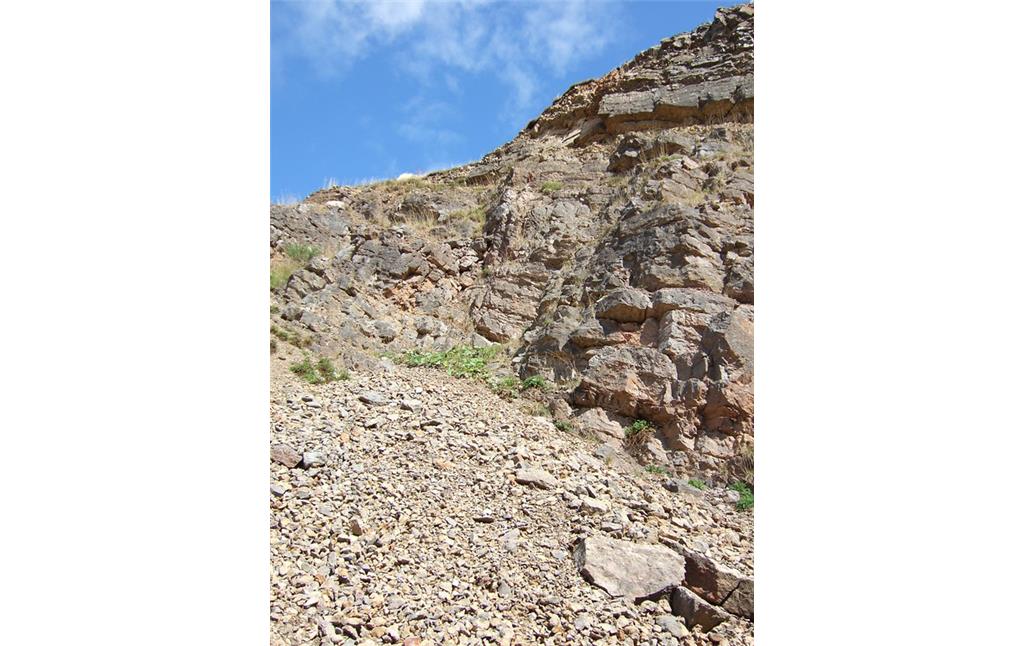 Aufschluss des Kalksteinbruches in Dahlem-Baasem, im Vordergrund eine Geröllhalde (2013)