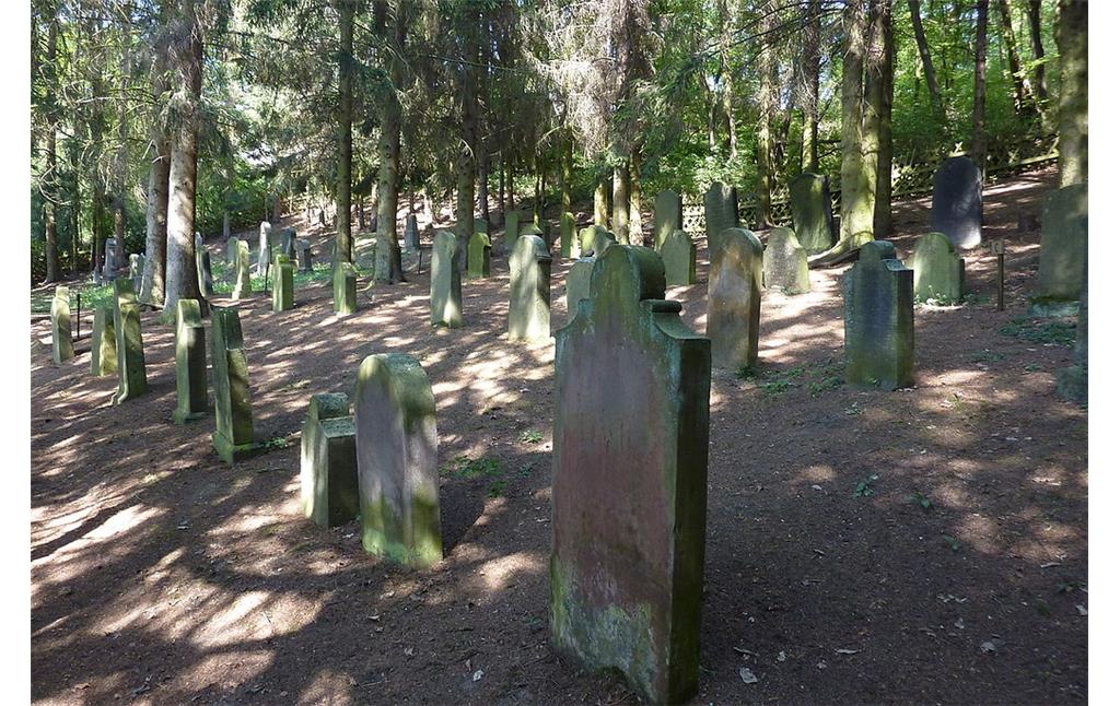 Jüdischer Friedhof in Niederzissen (2011).