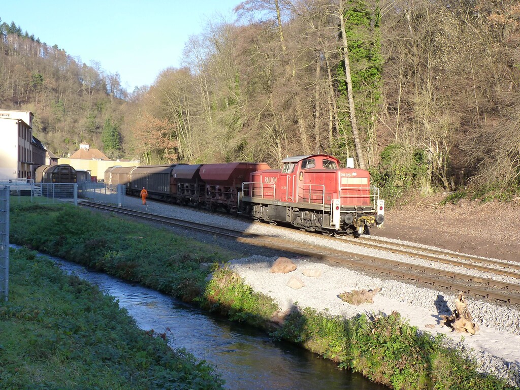 Moderner Güterzug in Frankeneck