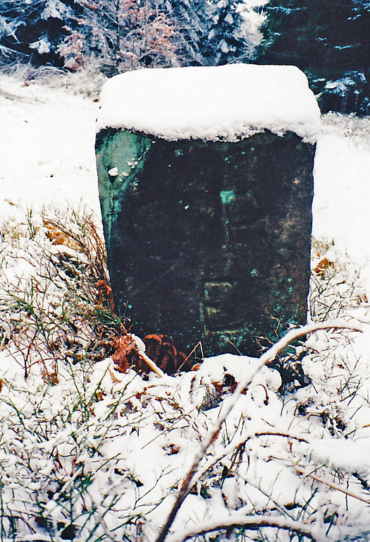 Einer der Grenzsteine auf die Ritterstein Nr. 85 "An Den Drei Steinen" hinweist. Dieser trägt auf seiner Ostseite die Inschrift CP für Churpfalz und E für Elmstein (1997).