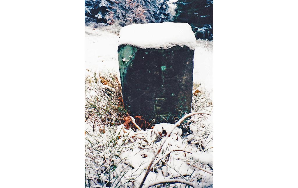 Einer der Grenzsteine auf die Ritterstein Nr. 85 "An Den Drei Steinen" hinweist. Dieser trägt auf seiner Ostseite die Inschrift CP für Churpfalz und E für Elmstein (1997).