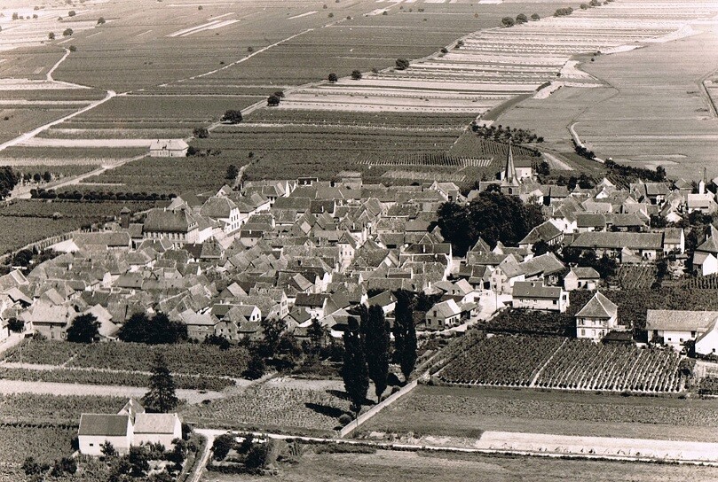 Luftbild der Ortsgemeinde Kirrweiler (Pfalz) (1966)