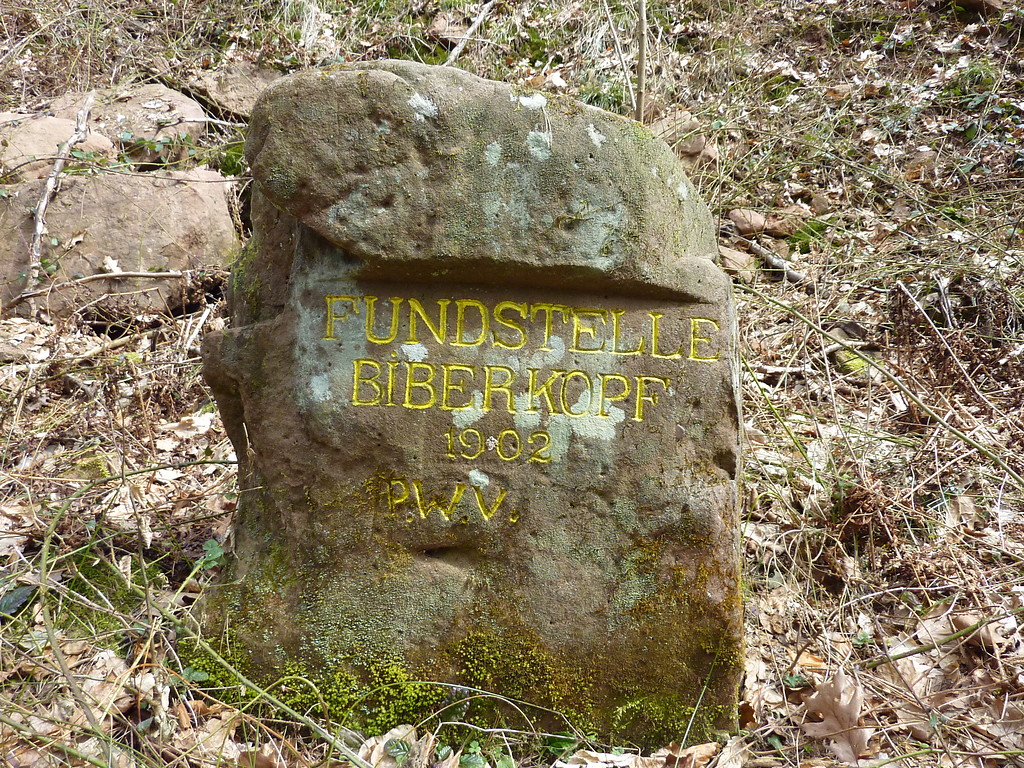Ritterstein Nr. 17 "Fundstelle Biberkopf 1902" bei Niederschlettenbach (2013)