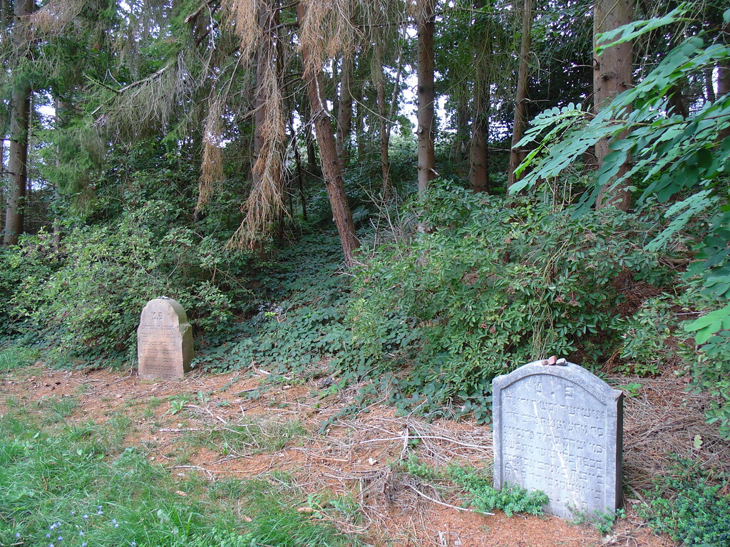 Jüdischer Friedhof Bleibuir, zwei der insgesamt vier erhaltenen Grabstätten vor Ort (2020).