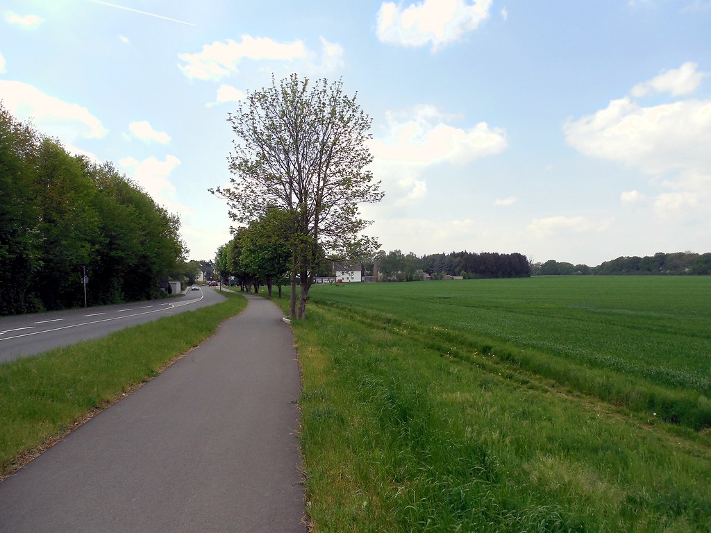 Offenlandflächen zwischen Mauspfad und Lützerather Straße in Köln-Rath/Heumar (2015)