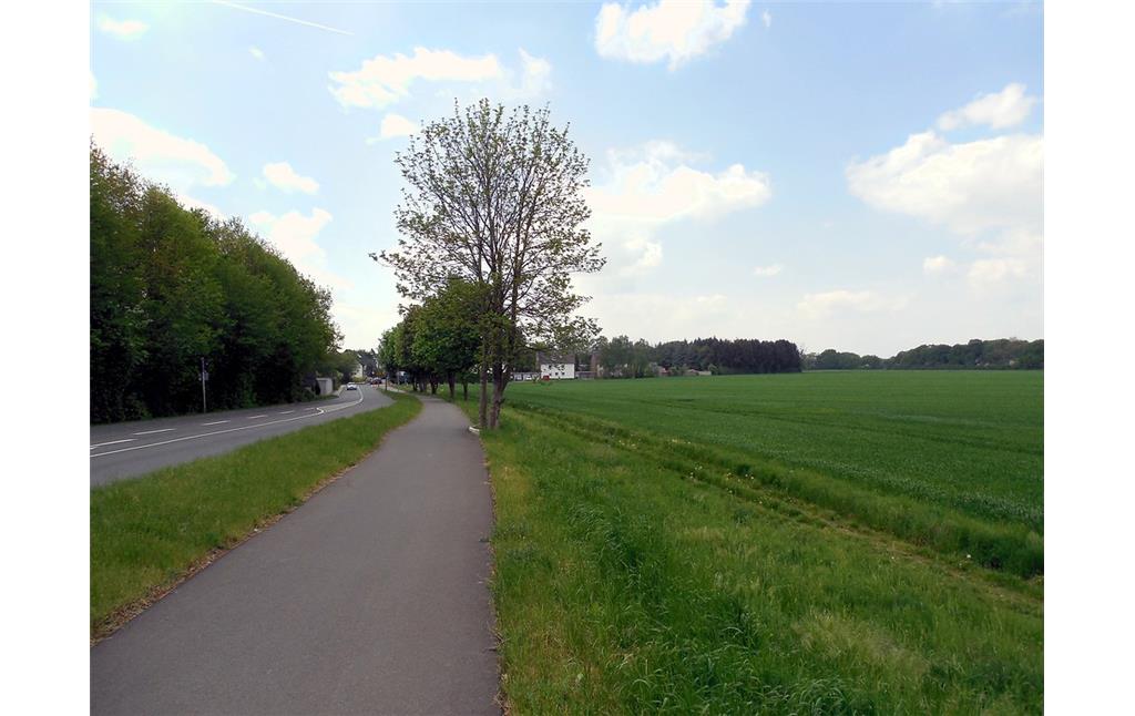 Offenlandflächen zwischen Mauspfad und Lützerather Straße in Köln-Rath/Heumar (2015)
