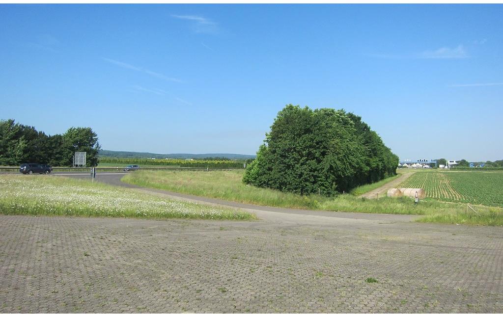 Eine Abstellfläche des früheren Autobahn-Behelfsflugplatzes am Meckenheimer Kreuz, nördlich der Bundesautobahn A 61 im Bereich "Bachelsgraben" bei Grafschaft-Eckendorf (2015).