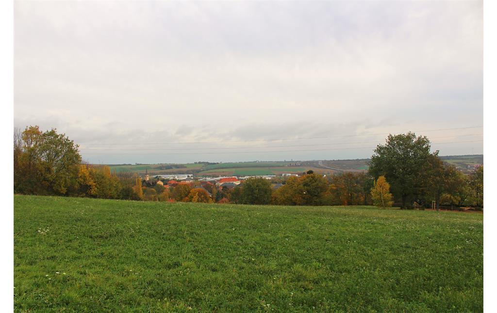 Aussicht von der Parkanlage Schillerhain in Richtung der im Tal gelegenen Stadt Kirchheimbolanden (2017)